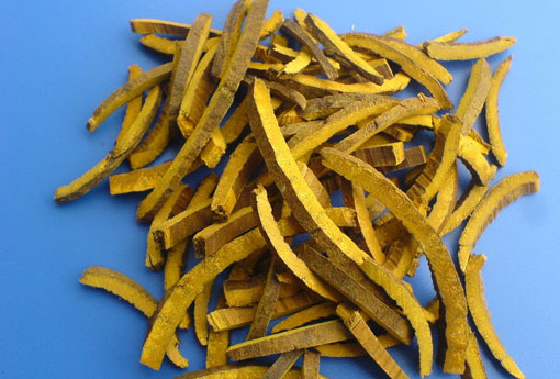 Hình ảnh quan hoàng bá thái chỉ